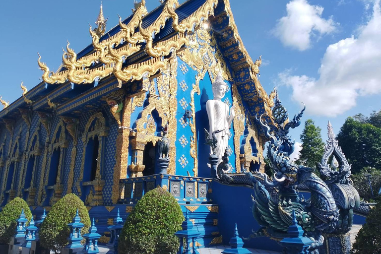 Excursión a los templos rojo, azul y blanco y a las aguas termales desde Chaing MaiTemplos rojos, azules y blancos y viaje a aguas termales desde Chaing Mai