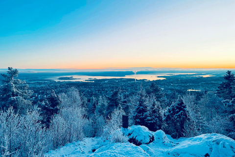 Oslo: Snow Hike to Vettakollen with Oslofjord Winter View Olso: Snow Hike to Vettakollen with Oslofjord Winter View