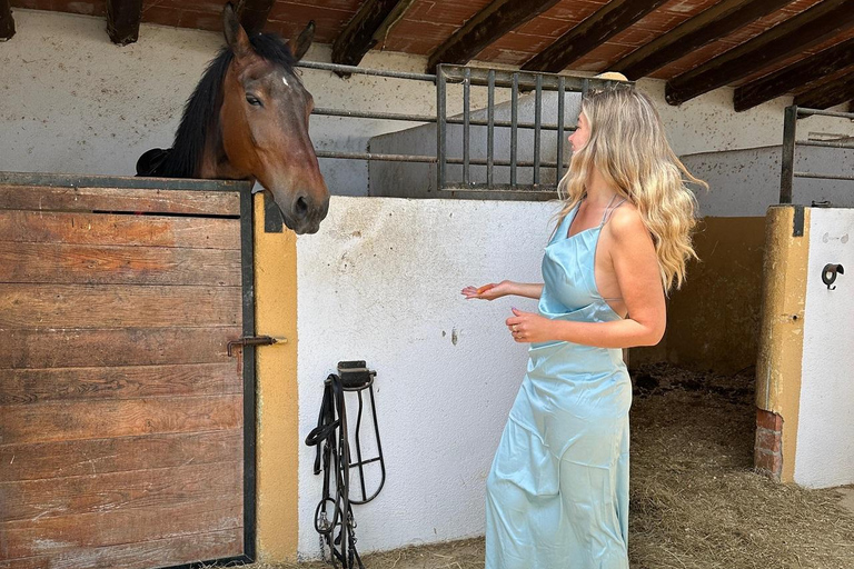 Oman-Salalah: Sunset Beach Horseback Ride with Hotel Pickup