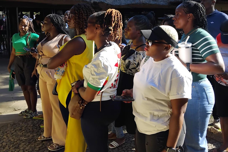 维多利亚瀑布：导览游和直升机飞行