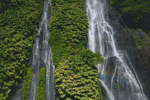 North Bali: Ulun Danu, Waterfalls, Swing and Monkey Forest Private Tour with Entry Ticket