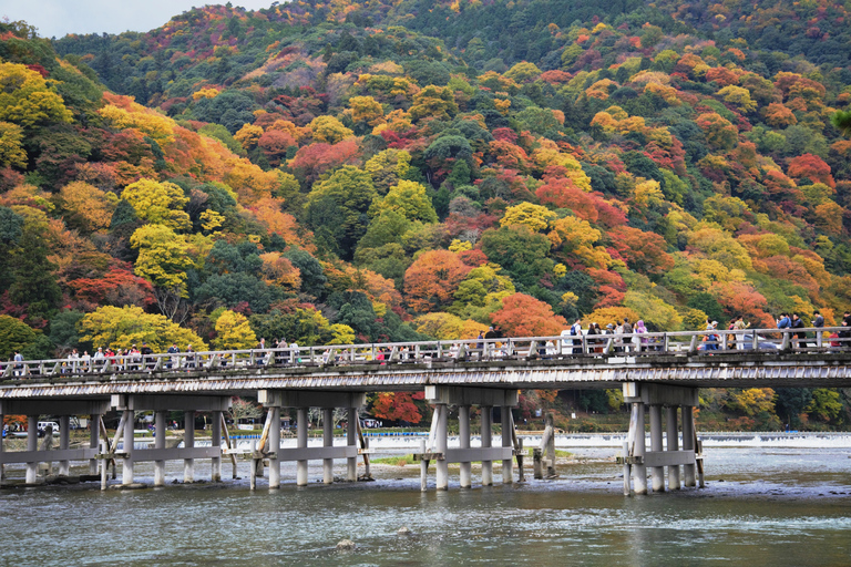 Osaka: escursione ad Arashiyama, Kiyomizu-dera e Katsuō-ji