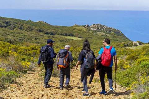 Sidi Mechreg: Guided Coastal Adventure with Lunch & Hike