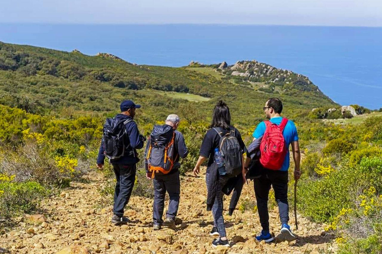 Sidi Mechreg: Guided Coastal Adventure with Lunch & Hike