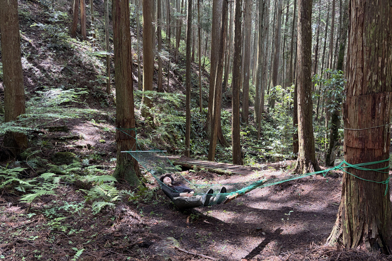 Shinrin-yoku/Forest Bathing in Yoshino