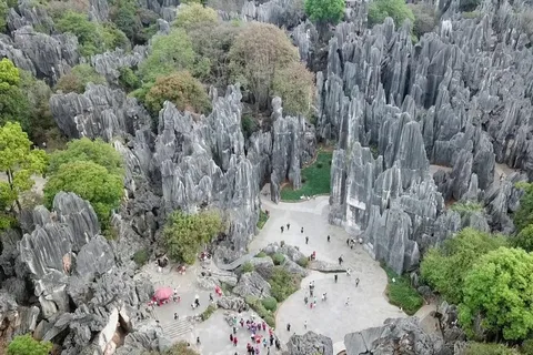 Private Half Day Tour of Stone Forest Park w/Option