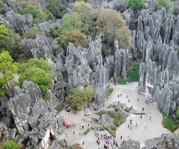 Tour privado de medio día del Parque del Bosque de Piedra c/Opción