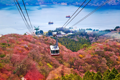 From Tokyo: Mount Fuji Private Tour With English Guide Route 2 Mount Fuji & Hakone: Full day customized Tour