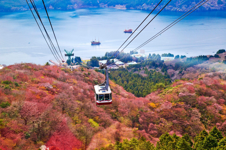 From Tokyo: Mount Fuji Private Tour With English Guide Route 2 Mount Fuji & Hakone: Full day customized Tour