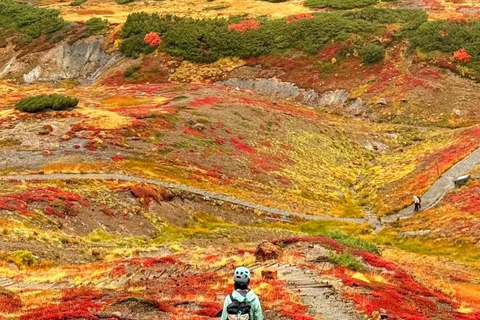 From Nagoya: Kamikochi & Tateyama Kurobe 2-Day Tour
