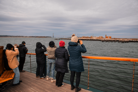 مدينة نيويورك جولة على متن قارب لمشاهدة معالم الحياة البرية والفقمة والطيور في فصل الشتاء