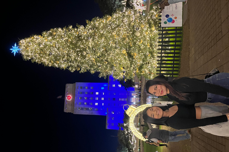 Christmas Lights Tour