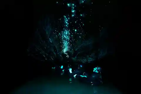 The Waitomo Experience : Okohua Glowworm Cave Tour