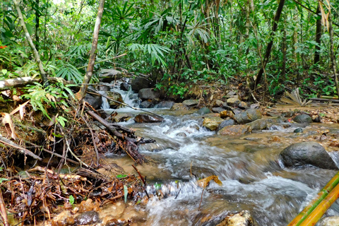 Khao Sok Jungle Day Trip - Jungle Trekking & Bamboo Rafting