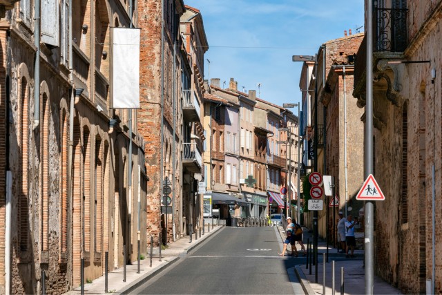 Visit Toulouse First Discovery Walk and Reading Walking Tour in Albi