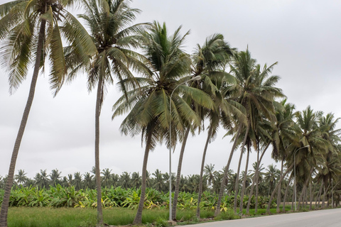 Ganztagestour durch die Stadtführung von Salalah4WD - 4 Passagiere