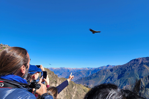 From Arequipa: 1-Day Colca Canyon Tour ending in Puno