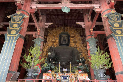 Nara: Halvdag med lokal guide – Big Buddha, hjort, helgedom, skogNara: Halvdag lokal guide- Stora Buddha, hjort, helgedom, skog