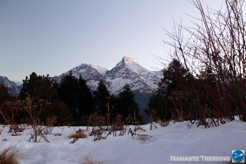 From Pokhara: 2-Day Short Poon Hill Trek