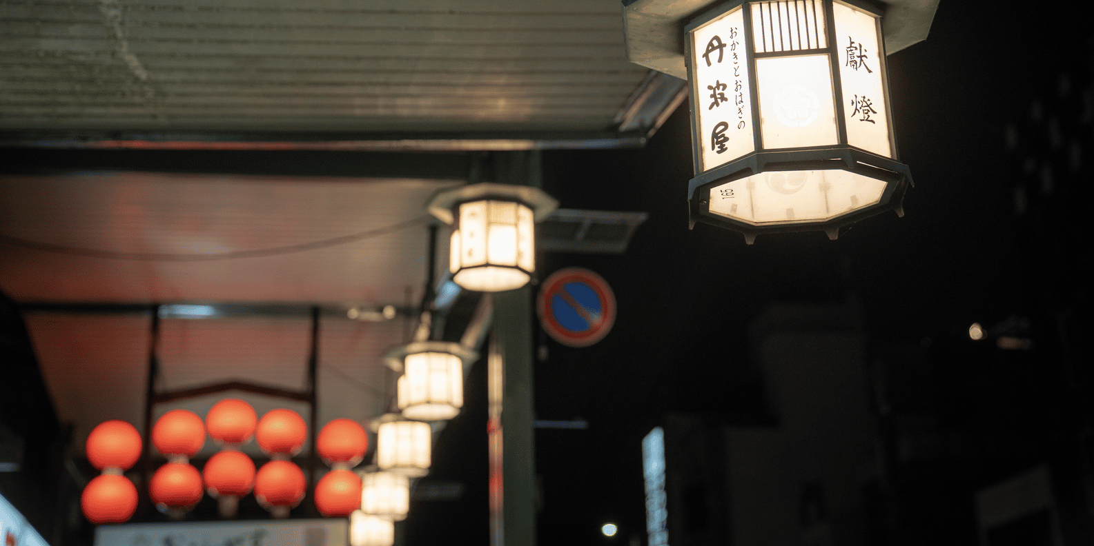Kyoto experience — temples, geisha, bamboo grove — image 9