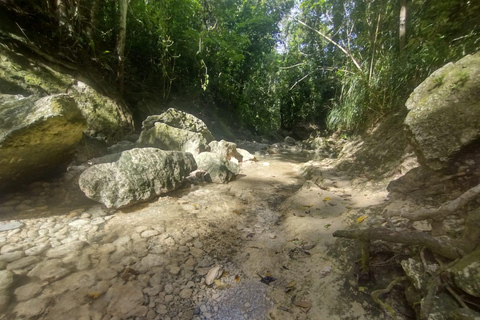 Porto Rico : Randonnée sur la rivière Gozalandia et visite des chutes d&#039;eau