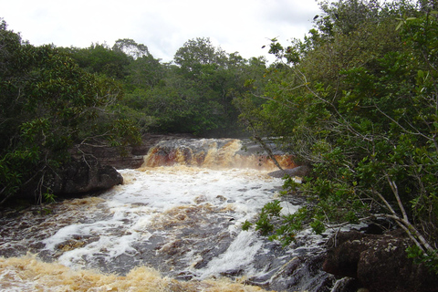 Day Tour Urubuí - Manaus (Presidente Figueiredo)