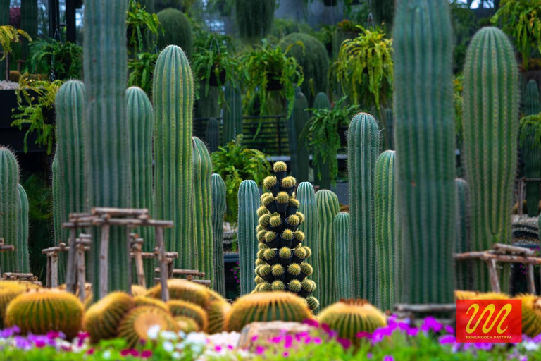 Pattaya: Guided City Tour with Sanctuary of Truth & Lunch