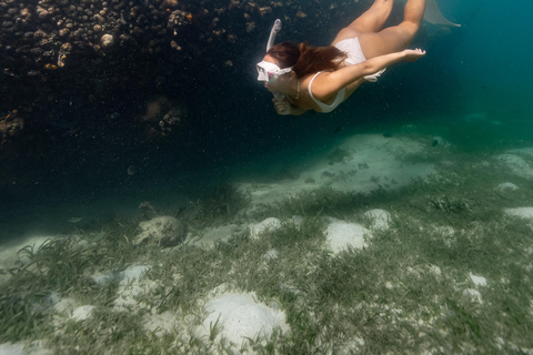 El Nido: Darocoton Island Day Trip