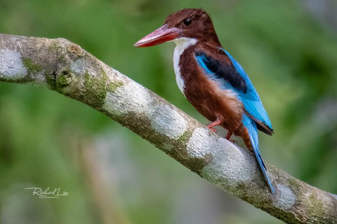 From Udaipur: Authentic Village Safari Experience