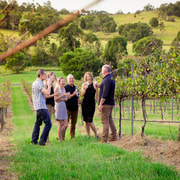 Brisbane: Wine & Dine In The Vines