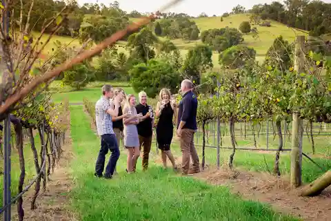 Brisbane : Wine & Dine In The Vines (Vin et dîner dans les vignes)