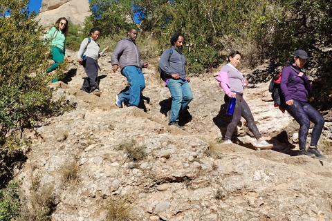 From Barcelona: Montserrat Monastery & Hike with Cable Car