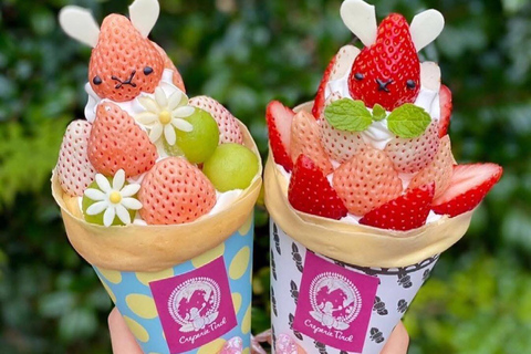 Kyoto: 1-dagars privat guidad resa med upphämtning från hotell