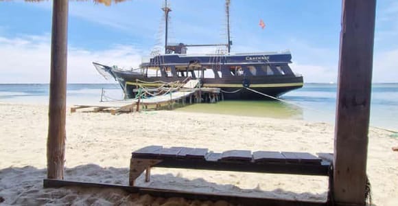 Djerba: Dolphin & Pirate Boat Cruise to Flamingo Island