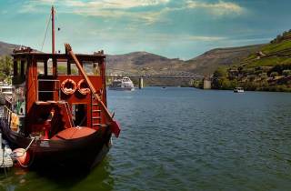 Porto: Douro Valley 2 Vineyards Tour mit Mittagessen und Flusskreuzfahrt