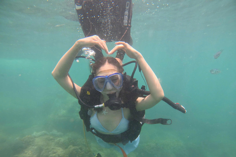 Da Nang/Hoi An: Immersione alle Isole Cham con un istruttoreDa Nang/Hoi An: Immersioni alle isole Cham con un istruttore