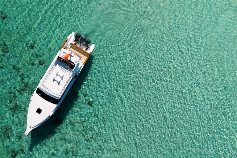 Labuan Bajo: Komodo National Park Adventure with Speedboat