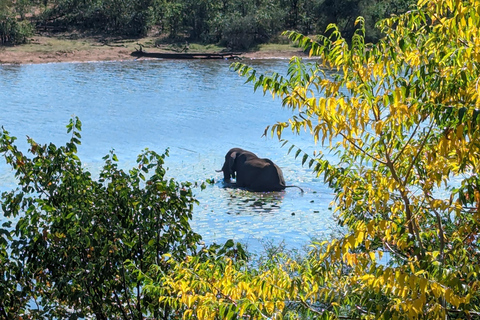 5-dniowa wycieczka all inclusive Kruger &amp; Pano Tour z JHB w połowie sezonu