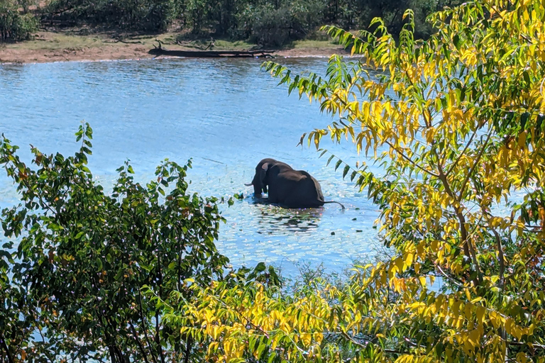 5-dniowa wycieczka all inclusive Kruger &amp; Pano Tour z JHB w połowie sezonu