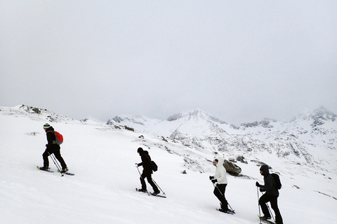 Tromsø: Guided snowshoe hill hike