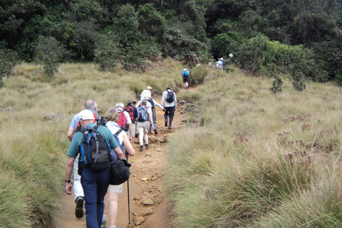 Trekking z Kandy do Ella