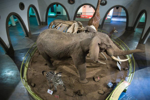 Nairobi: National Museum & Snake Park Guided Tour