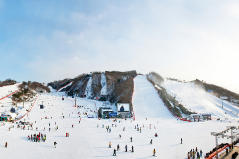 Vanuit Seoul: Vivaldi Park Skiwereld met Eobi ijsvalleiAlleen vervoer - Bijeenkomst in Myeongdong