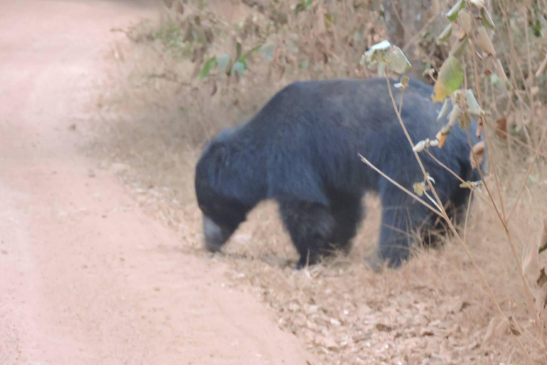 Yala/Mirissa: All Inclusive Full-Day Safari at Yala Park Mirissa/Weligama: All Inclusive Full-Day Safari at Yala Park