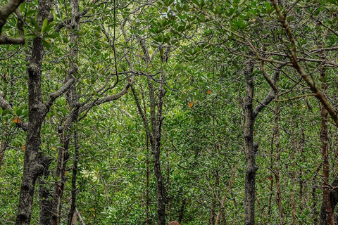 Zanzibar: Jozani Forest, Salaam & Maalum Caves and Sunset