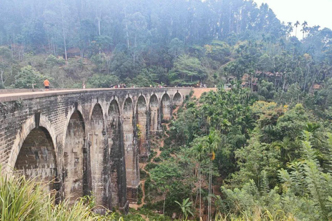 From Kandy: 2-Day Sigiriya & Ambewella Station drop Tour