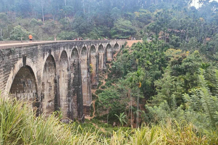 From Kandy: 2-Day Sigiriya & Ambewella Station drop Tour