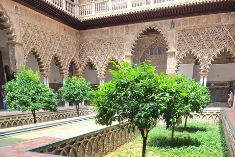 Seville: Guided visit to the Alcázar, Cathedral and Giralda