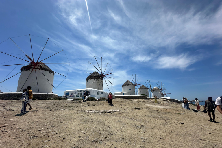 Visite de 4 heures à Mykonos en espagnol4 heures de visite de Mykonos en anglais