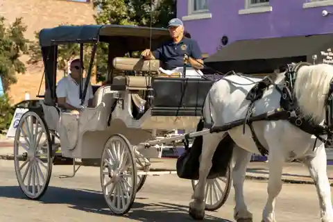 Charleston, SC: Private Daytime Horse-Drawn Carriage Ride